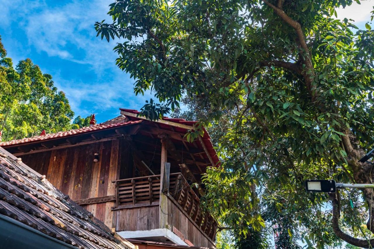 Kottakamboor Castillo De Woods , The Private Luxury Villa , 8 Bhk, Vattavada מראה חיצוני תמונה